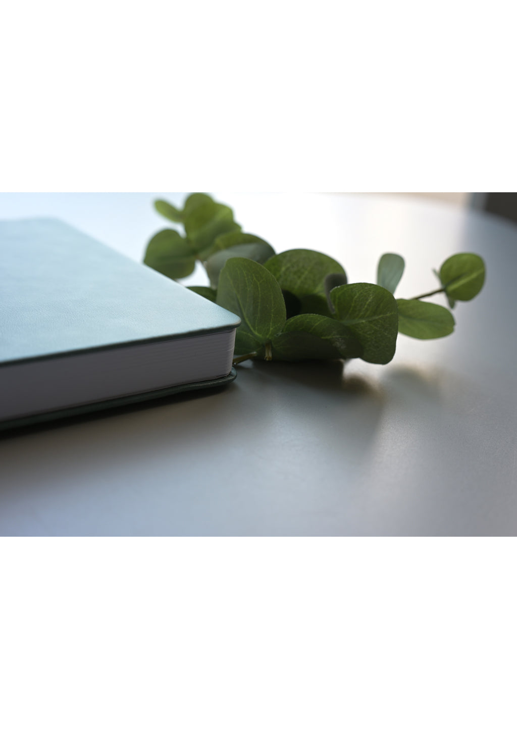 Journal Meervoorjou - Lavendel gold