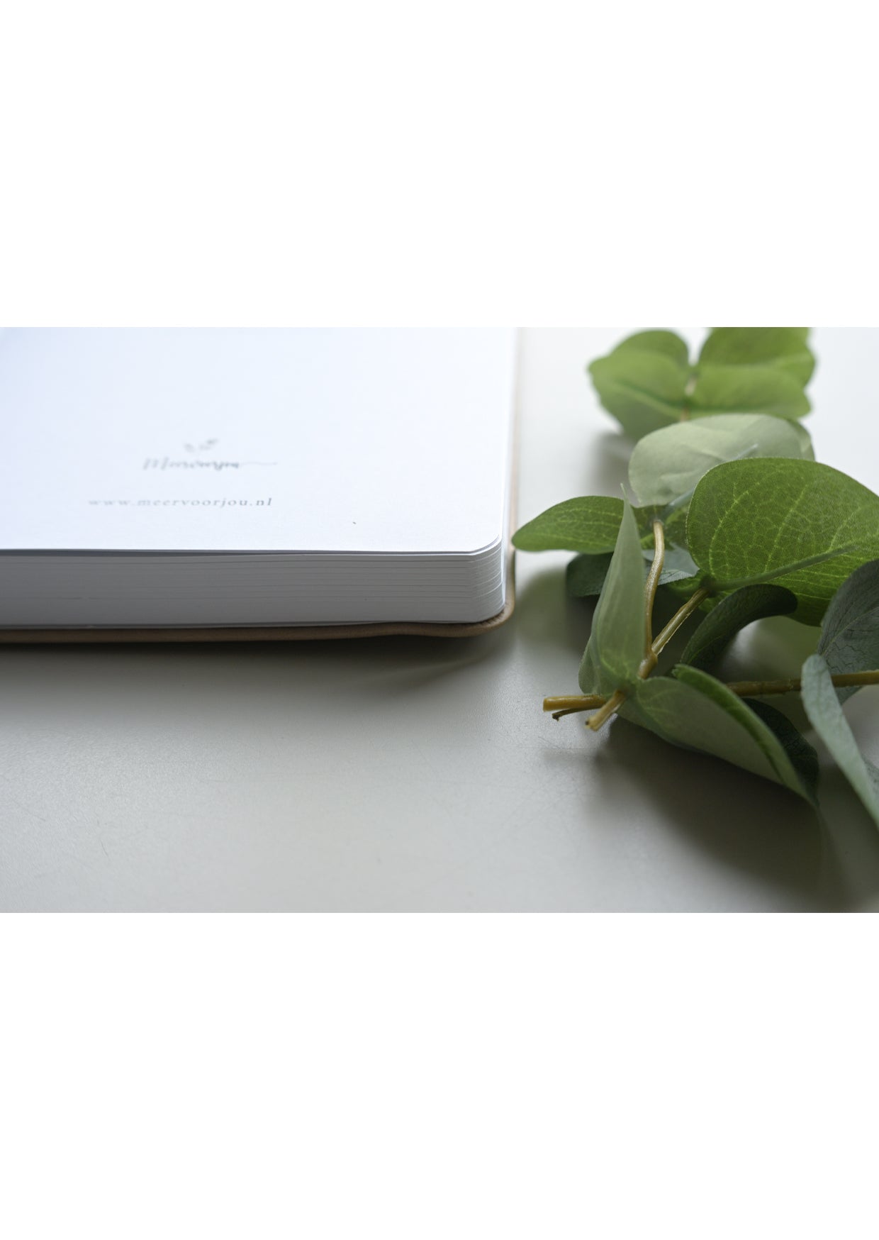 Journal Meervoorjou - Flying Butterfly beige