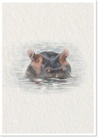 Wenskaart van  StudioCR - nijlpaard