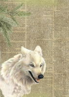 Kerstkaart Meervoorjou - White Wolf