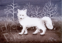 Ansichtkaart Katja Saario - Witte vos