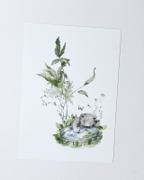 Ansichtkaart Beertje in vijver -  serie Nature met envelop