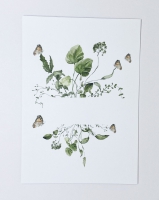 Ansichtkaart  Vlinders -  serie Nature met envelop