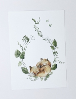 Ansichtkaart Slapende vosjes -  serie Nature met envelop