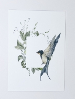 Ansichtkaart Bird -  serie Nature met envelop
